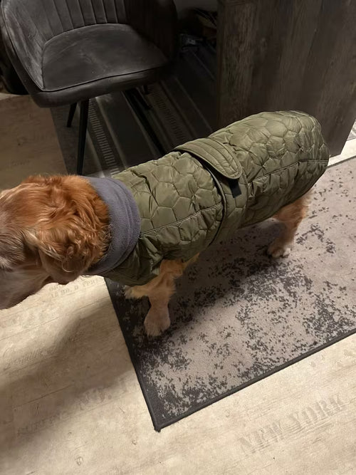 Okay, wird aber schnell schmutzig