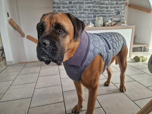 Schön, auch der Kragen ist umklappbar!