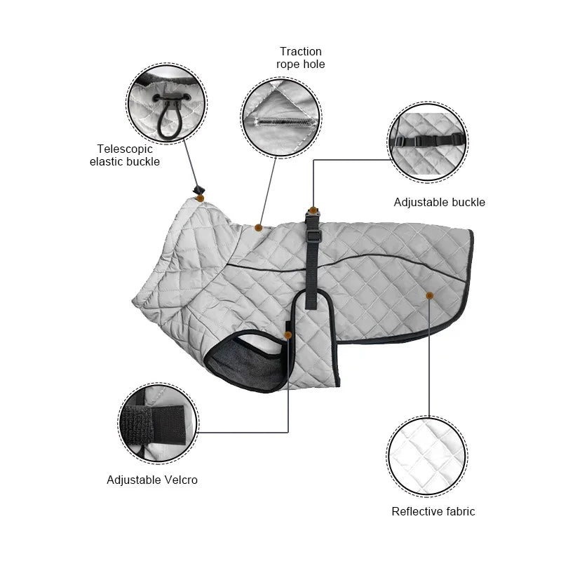 Netalu's Aurora Coat