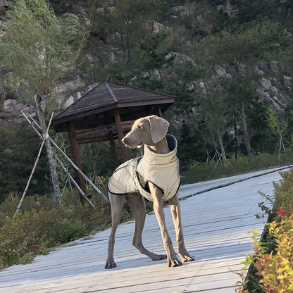 Netalu's Aurora Coat