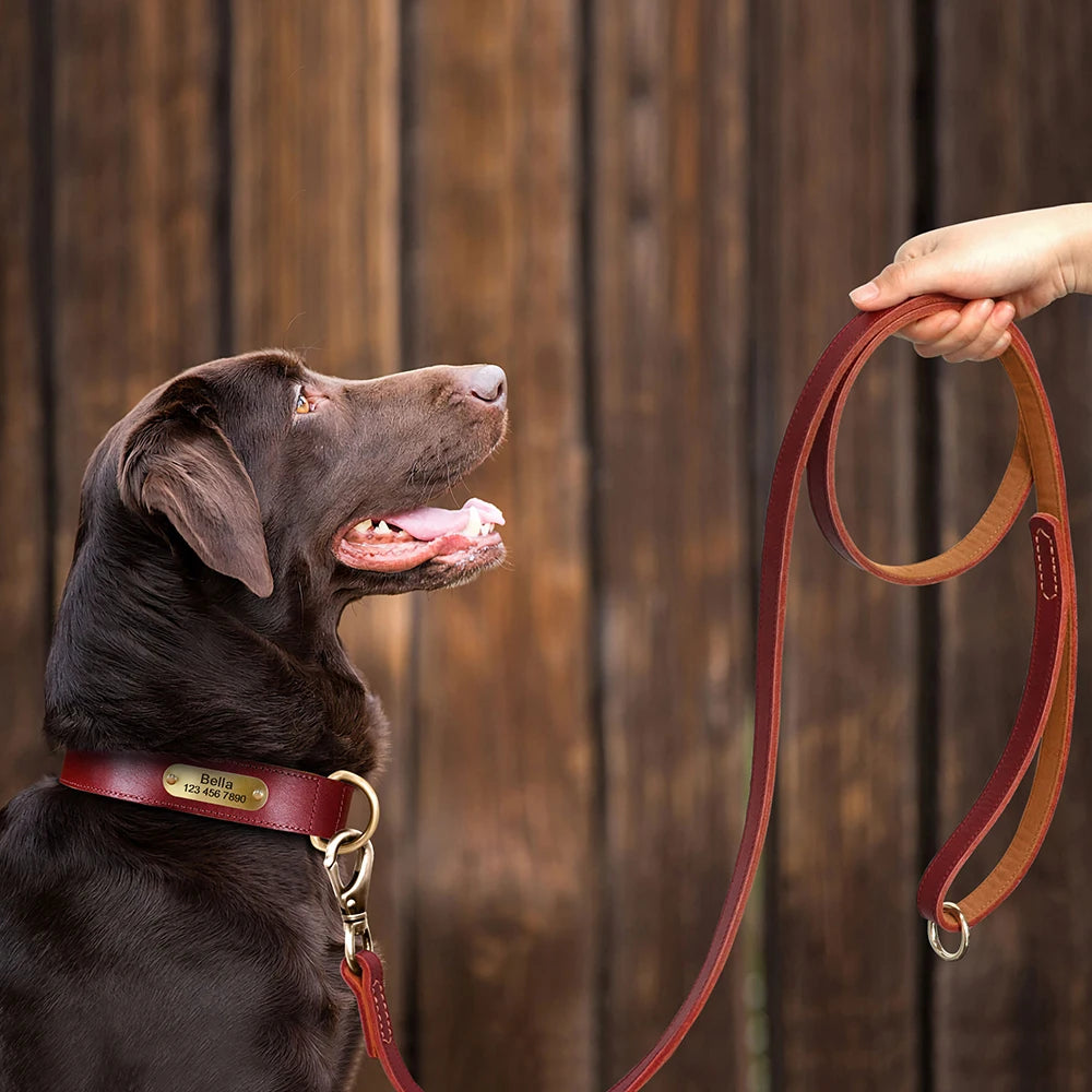 Netalu´s Sattelleder Halsband