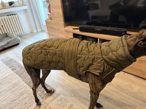 Guter Mantel, passt sehr gut