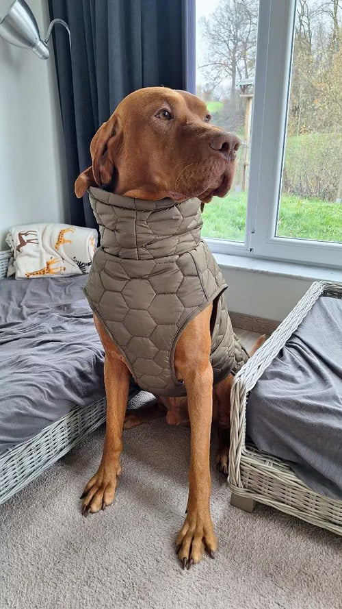 Tolle Qualität und schön warm